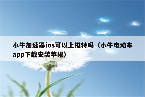 小牛加速器下载官网正版（小牛加速器下载官网正版服务）