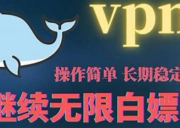 关于黑洞加速器202vip破解版的信息